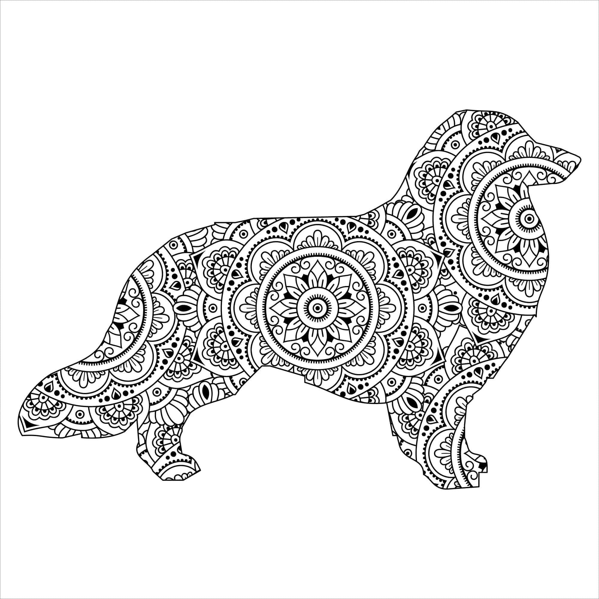 Mandalas Chien 11